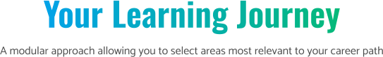 Your Learning Journey A modular approach allowing you to select areas most relevant to your career path